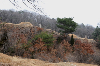 조선 태조의 서녀 의령옹주와 부마 호안공 묘역 