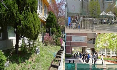 ▲대방초등학교 전경(대방초등학교 홈페이지 캡처)