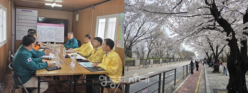 ▲김광용 행정안전부 재난 관리본부장(오른쪽 두 번째)이 봄꽃 축제장을 방문해 안전관리 상황을 점검하고 있다(왼쪽), 개막일에 맞춰 만개한 여의서로 벚꽃(오른쪽) Ⓒ영등포시대