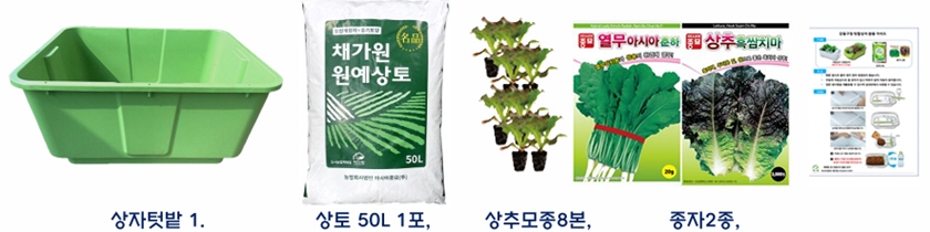 ▲ A형(상토 50ℓ 1포, 상추 모종 8본, 종자 2종/이미지=영등포구 제공