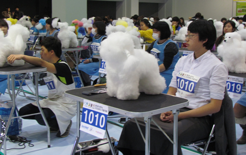 학생들이 애견모형을 가지고 미용준비를 하고있다.     &copy;김아름내 