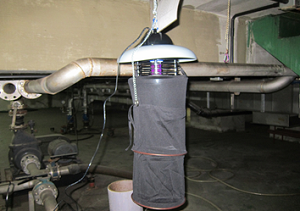 대형건물에 설치된 모기 유충 살충제