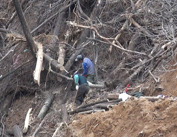 중랑구 신내동 무단벌채 현장
