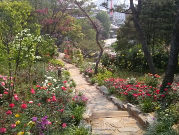  로즈메리힐 전경사진