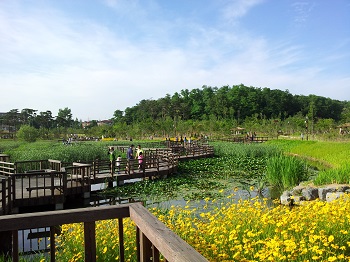 서남권 대표공원으로 떠오른 구로구 항동 '푸른수목원'