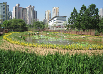 양평유수지 내 생태 연못