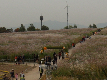 2012년 제11회 억새축제(영등포시대 DB)