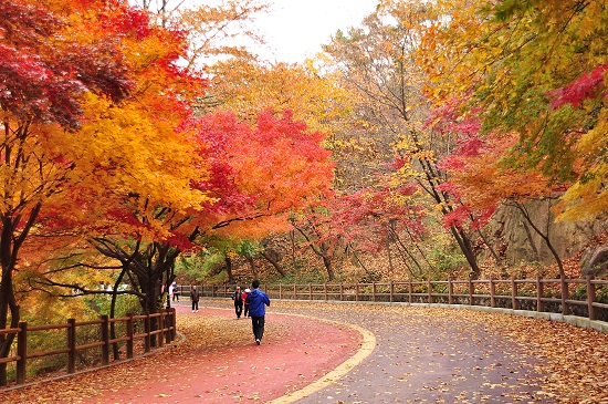 남산 북측순환로
