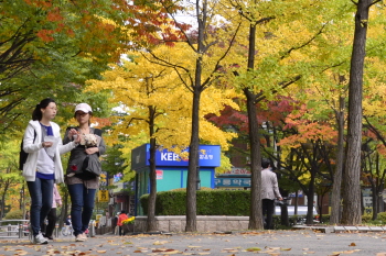 양천구 목동아파트 10단지 앞 거리 