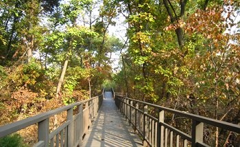 자락길 조성구간(강동구청 제공)