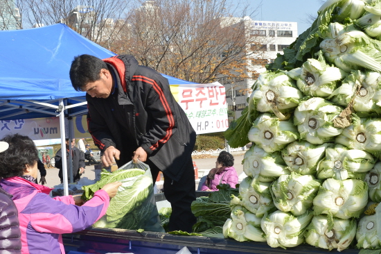 2012김장철직거래장터_배추(2012.11.15.)<&copy;양천구청>