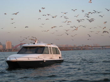 겨울철새 &copy;서울시