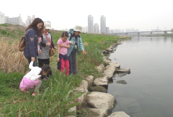 아이들과 학부모들이 안양천에서 식물들을 직접 보며 생태 체험을 하고  있다.  &copy;영등포구