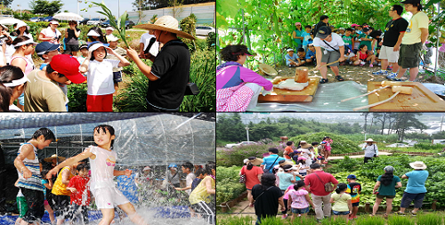 서울시농업기술센터에 진행될 신나는 여름철 어린이자연학교 Ⓒ서울시