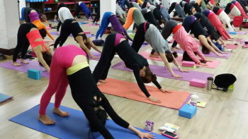 요가가 국민생활체육회 정식 종목으로 가입했다. &copy;한국치유요가협회