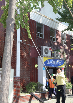  2013.10월 조길형 영등포구청장이  은행나무의 열매를 털고 있다.