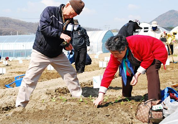 실버농장 참여회원이 모종심기를 하고 있는 모습 &copy;서울시 