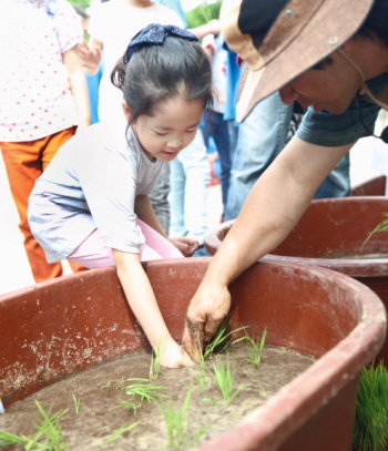 대영초 모내기 &copy;영등포구 