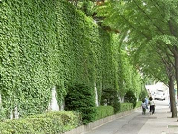 면생태면적률 공간유형 벽면녹화 &copy;서울시 