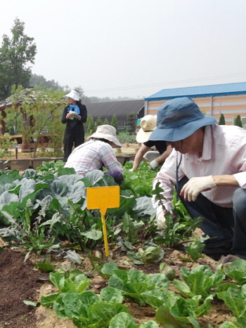  귀촌(전원생활)과정 &copy;서울시 