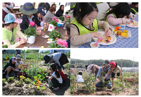 다사랑농장 텃밭활동 및 텃밭 힐링체험 프로그램 – 꽃화분 장식, 식용꽃 카나페 등 