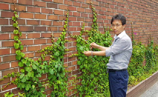 벽면녹화의 중요성을 강조한 김광수 서울시의회 의원