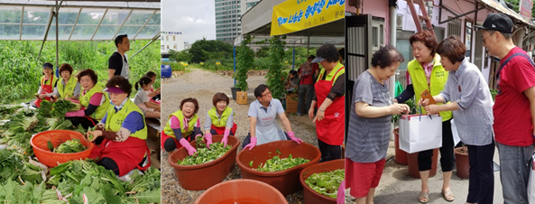 나눔이웃과 마크프로 관계자 들이 다듬고, 씻고, 담가서 어려운 이웃에게 전달하고 있다. Ⓒ영등포시대 