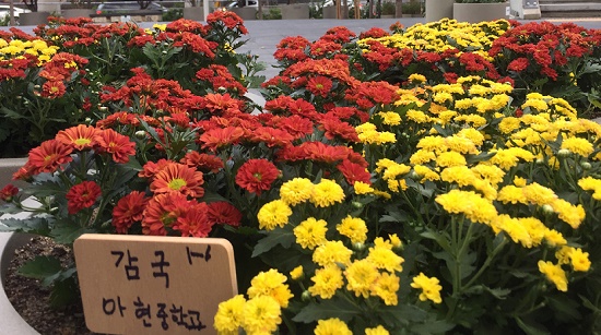 평화와 희망의 소국정원만들기