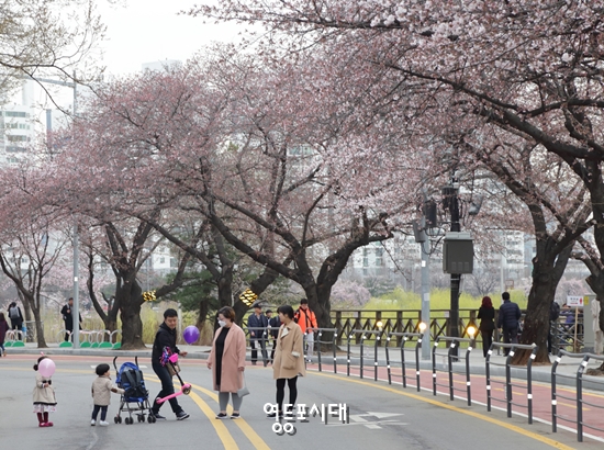 7일 오후 국회의사당 뒤편 봄꽃 축제장을 찾은 한 가족의 모습이 인상적이다. 