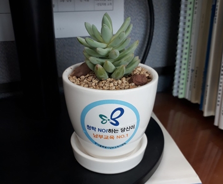 남부교육지원청 한 관계자의 책상 위에 ‘청렴 화분’이 놓여있다. 