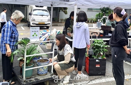 ▲10월 19일, 경남 아너스빌 공동주택에서 열린 ‘반려 식물 클리닉’/이미지=영등포구 제공 