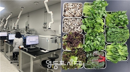 ▲농산물 잔류농약 검사 장면(왼쪽)과 농산물 검체 사진. ©서울시 제공