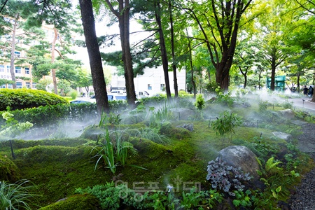 ▲영등포구가 조성한 탄소저감 이끼를 활용한 ‘이끼정원’. ©영등포구 제공