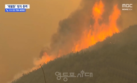 ▲경남 산청 산불 화재 현장/이미지=3월 31일 mbc 뉴스 영상 캡처
