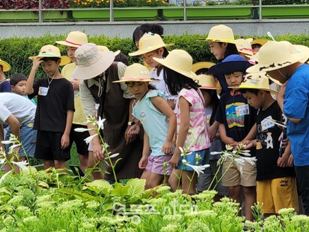 ▲여름철 어린이 자연학교 모습. ©서울시 제공