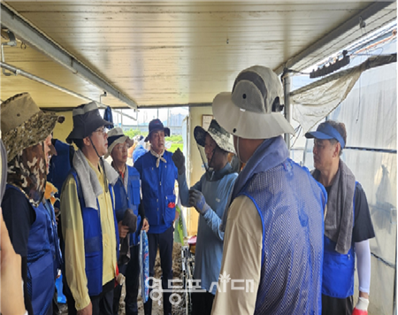 ▲서울시의회 민주당 의원 등으로 구성된 자원봉사단이 지난 26일 충청남도 아산시 배방읍 일대에서 복구 활동을 하고 있다. ©서울시의회 민주당 제공