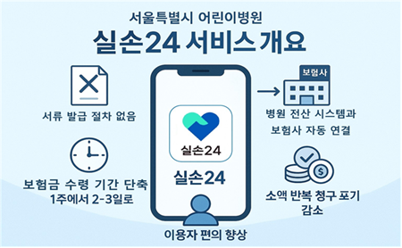 ▲실손24 서비스 개요. ⓒ서울시 제공