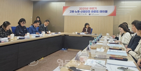 ▲서울남부고용노동지청 11월 6일 개최한 ‘2025년 하반기 고용·노동·산업안전 라운드 테이블’/이미지=서울남부고용지청