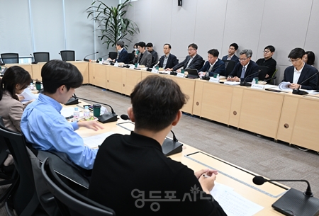▲실무협의회/이미지=서울시 제공