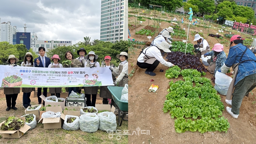 ▲영등포구 마을정원사회가 4월 28일, 문래 도시 텃밭에서 재배한 채소를 지역사회에 기부했다/이미지=영등포구 마을정원사회 제공